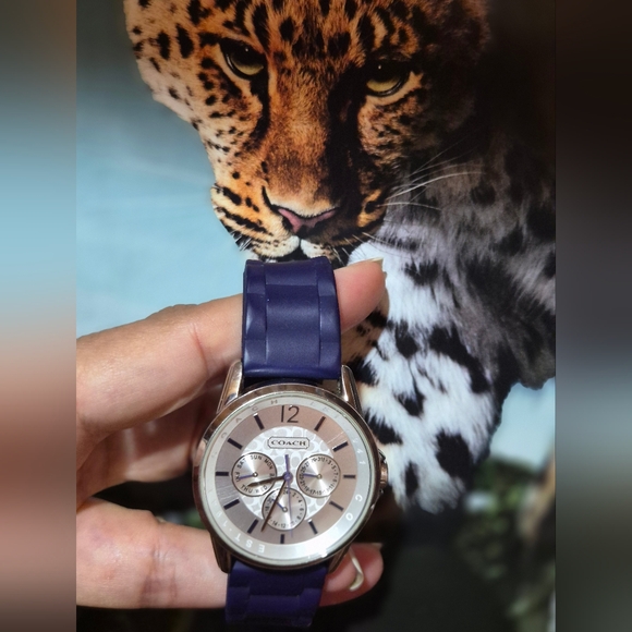 Authentic Coach Silver and Blue Watch